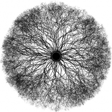 Self-Inflicted Violence - The Sanctimonious Hypocrites of Reality ++ CD