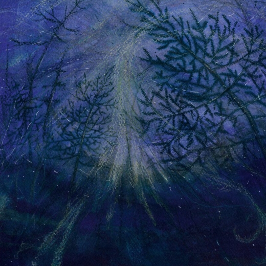 Tetrasigil - Forest Storm ++ LP